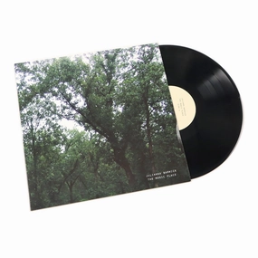 Julianna Barwick: The Magic Place (Remaster) Vinyl LP hi-fi phono amp,hi-fi hi-res bluetooth,hi-fi amplifier enclosure