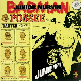 Junior Murvin  Badman Possee (Music On Vinyl) (Arrives in 21 Days) hi-fi linear power supply,hi-fi digital coaxial input,hi-fi speaker selector
