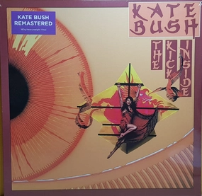 Kate Bush C The Kick Inside (Arrives in 7 Days) hi-fi studio monitor amp,hi-fi audiophile DAC,hi-fi lossless amplifier
