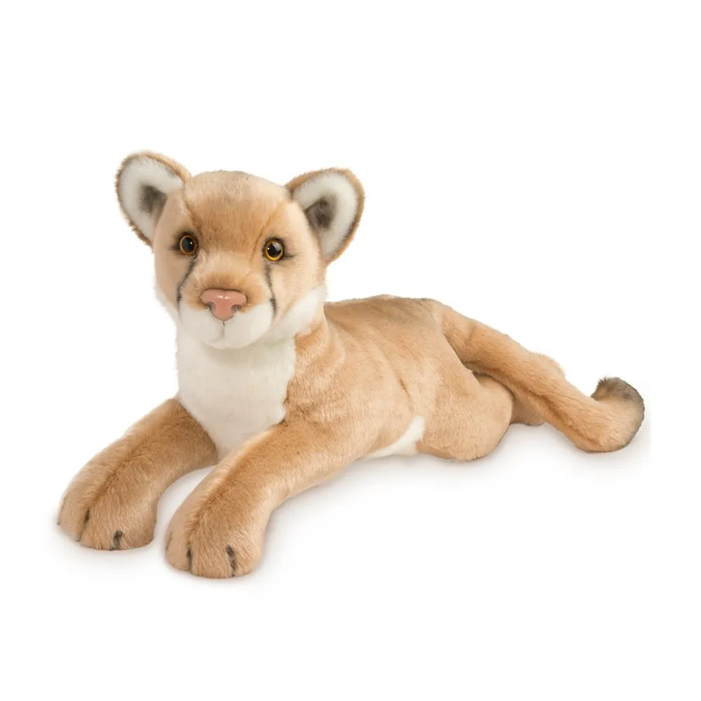 Kelso Lion de montagne / Couguar