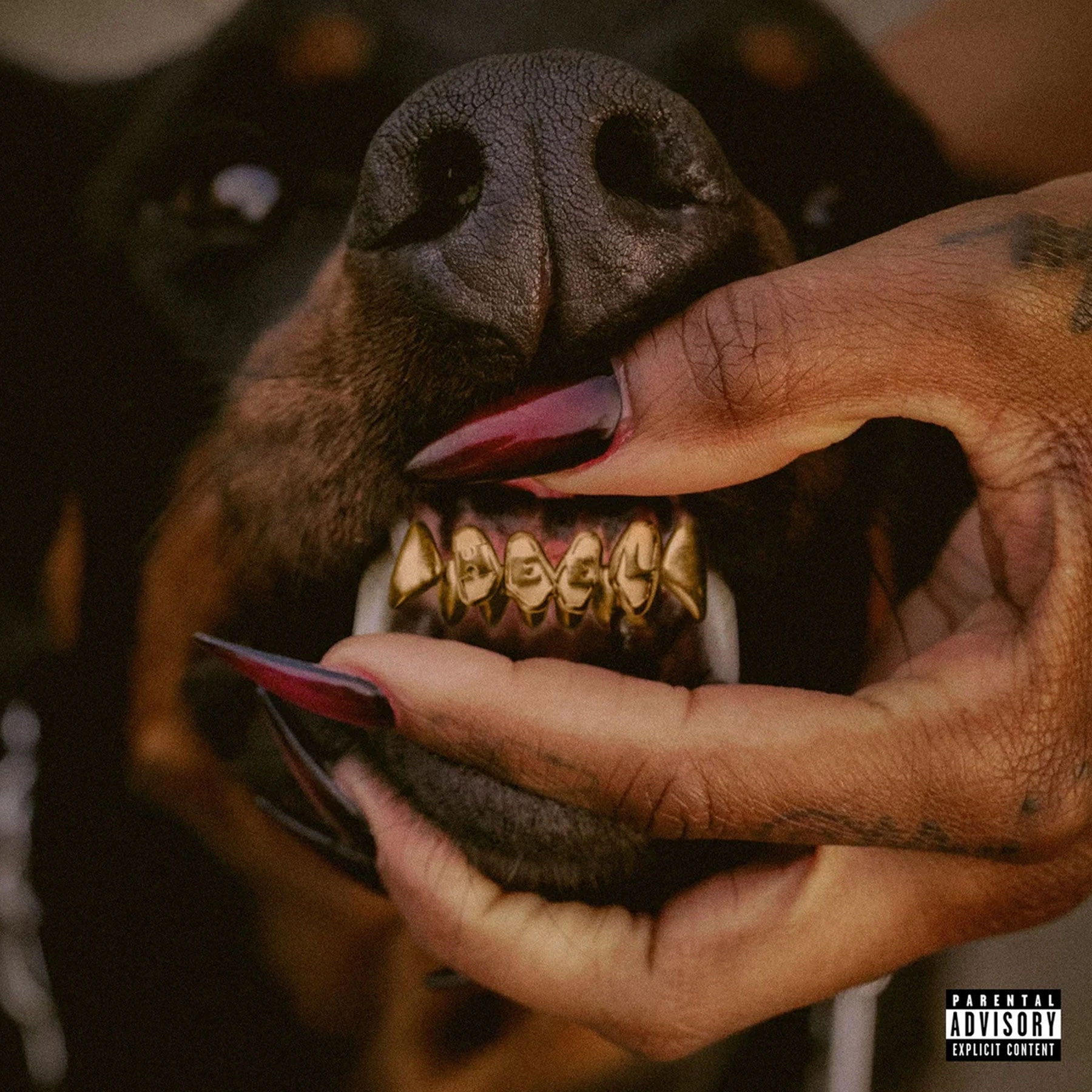 Leon Thomas: Mutt - Heel (Colored Vinyl) Vinyl 2LP - PRE-ORDER