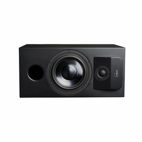 Lyngdorf CS-1 Full Range Speaker