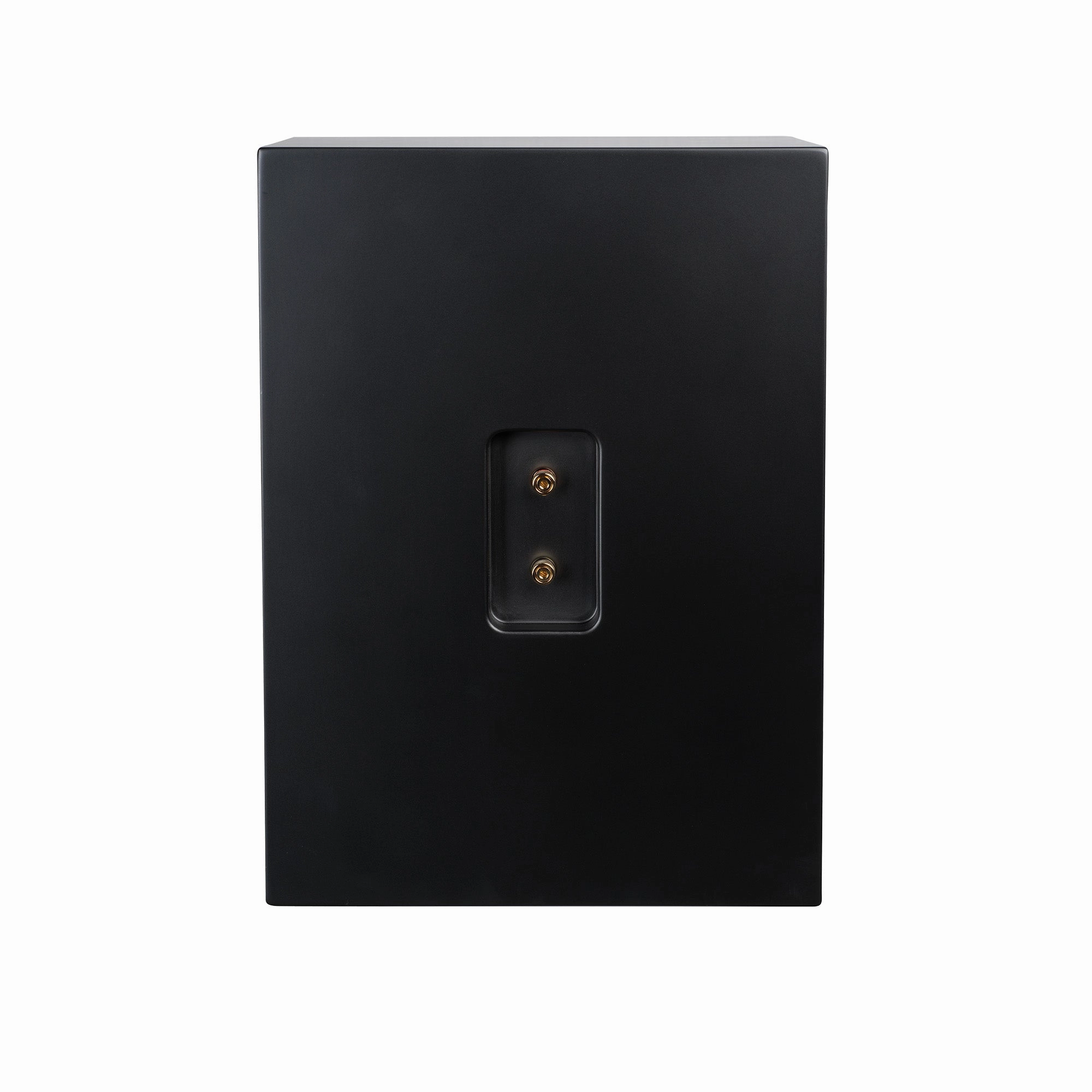 Lyngdorf CS-2 In-Cabinet Speaker