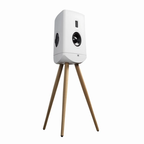 Lyngdorf Cue-100 High-End Standmount Speakers (Each)