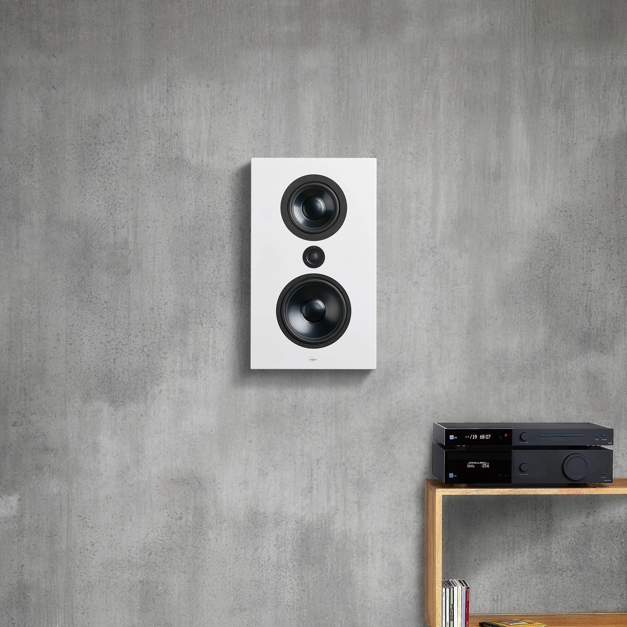 Lyngdorf FR-1 Full Range Speaker