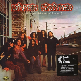 Lynyrd Skynyrd C (Pronounced 'L?h-'nrd 'Skin-'nrd) (Arrives in 4 days) hi-fi studio monitor amp,hi-fi audiophile DAC,hi-fi lossless amplifier