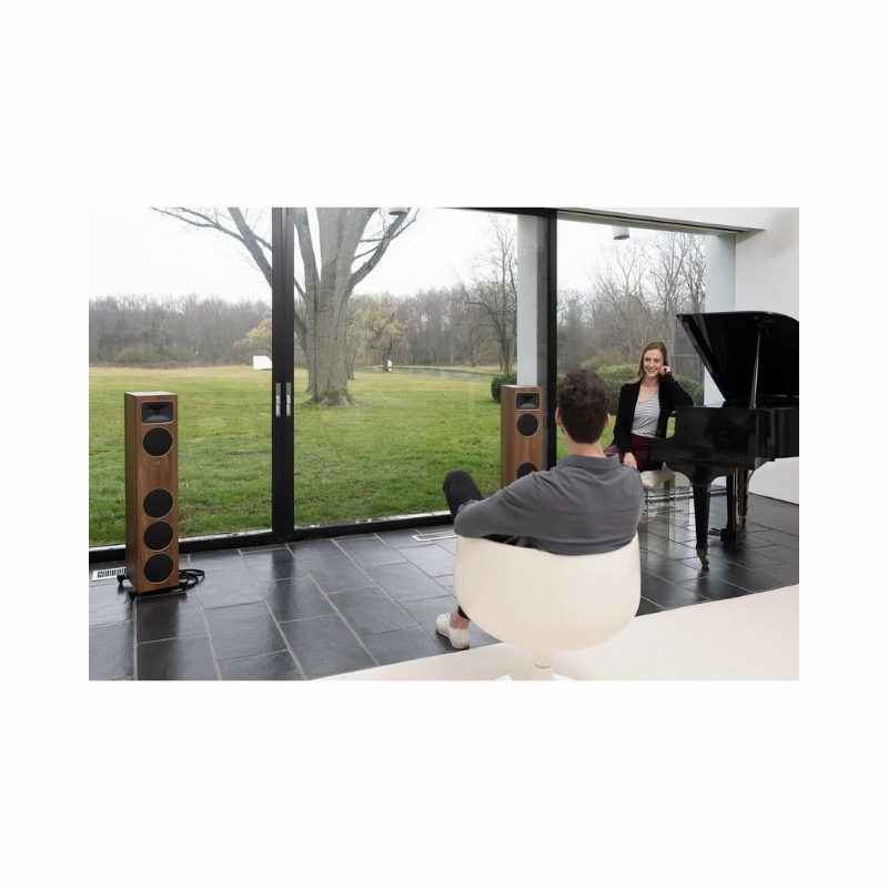 Martin Logan Motion Foundation F1 Floorstanding Speakers (Pair)