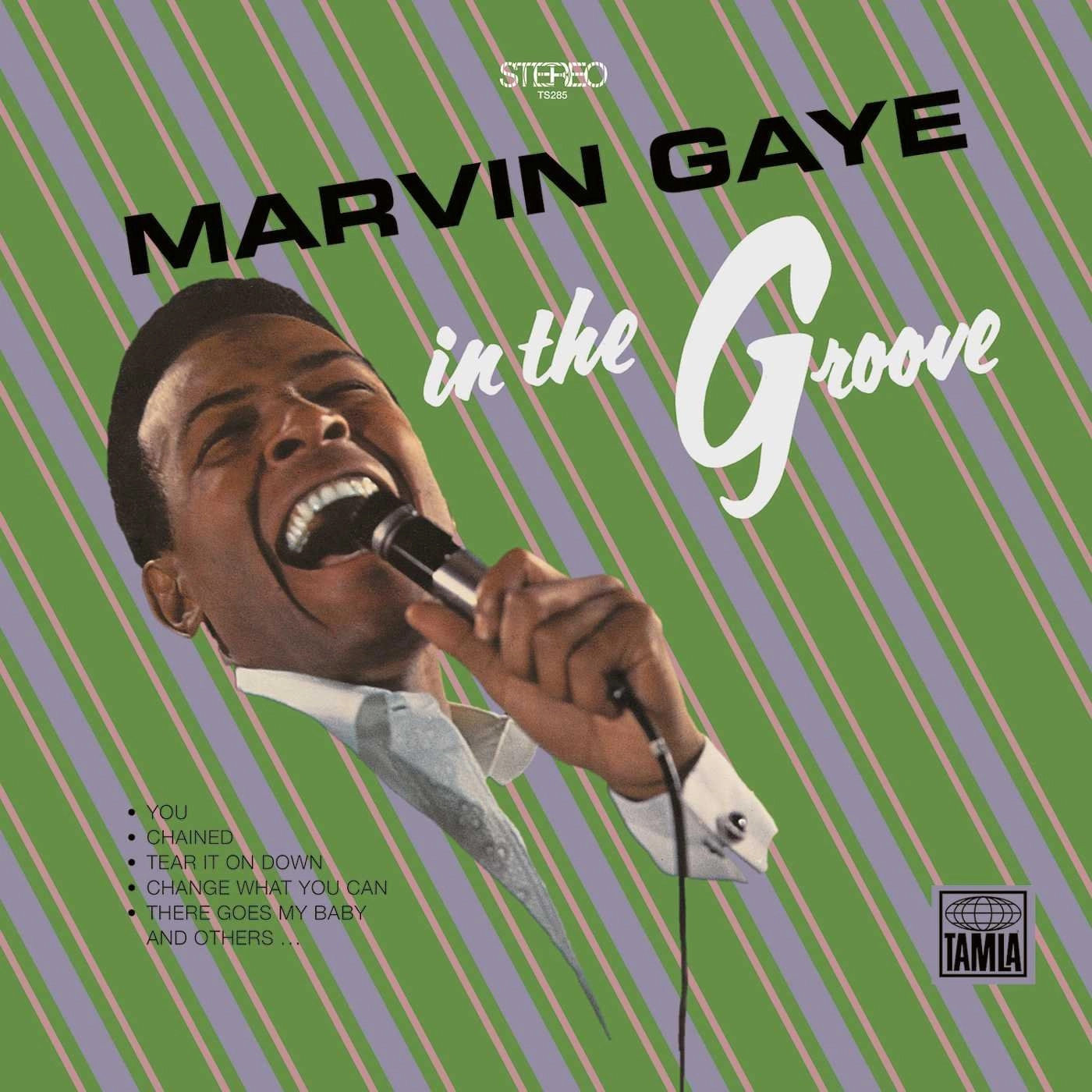 Marvin Gaye C In The Groove (Arrives in 4 days) hi-fi analog input amp,hi-fi Bluetooth 5.0 amp,hi-fi tube amp with bluetooth