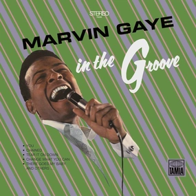 Marvin Gaye C In The Groove (Arrives in 4 days) hi-fi analog input amp,hi-fi Bluetooth 5.0 amp,hi-fi tube amp with bluetooth