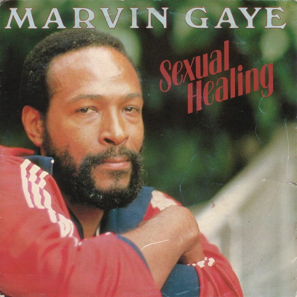 Marvin Gaye C Sexual Healing - The Remixes  (Arrives in 4 Days) hi-fi analog input amp,hi-fi Bluetooth 5.0 amp,hi-fi tube amp with bluetooth