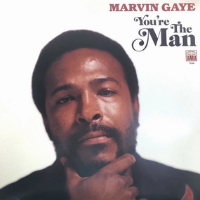 Marvin Gaye C You're The Man (Arrives in 4 days) hi-fi subwoofer cable,hi-fi driver unit,hi-fi frequency response