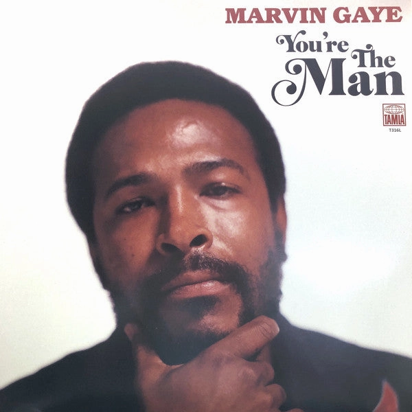 Marvin Gaye C You're The Man (Arrives in 4 days) hi-fi subwoofer cable,hi-fi driver unit,hi-fi frequency response