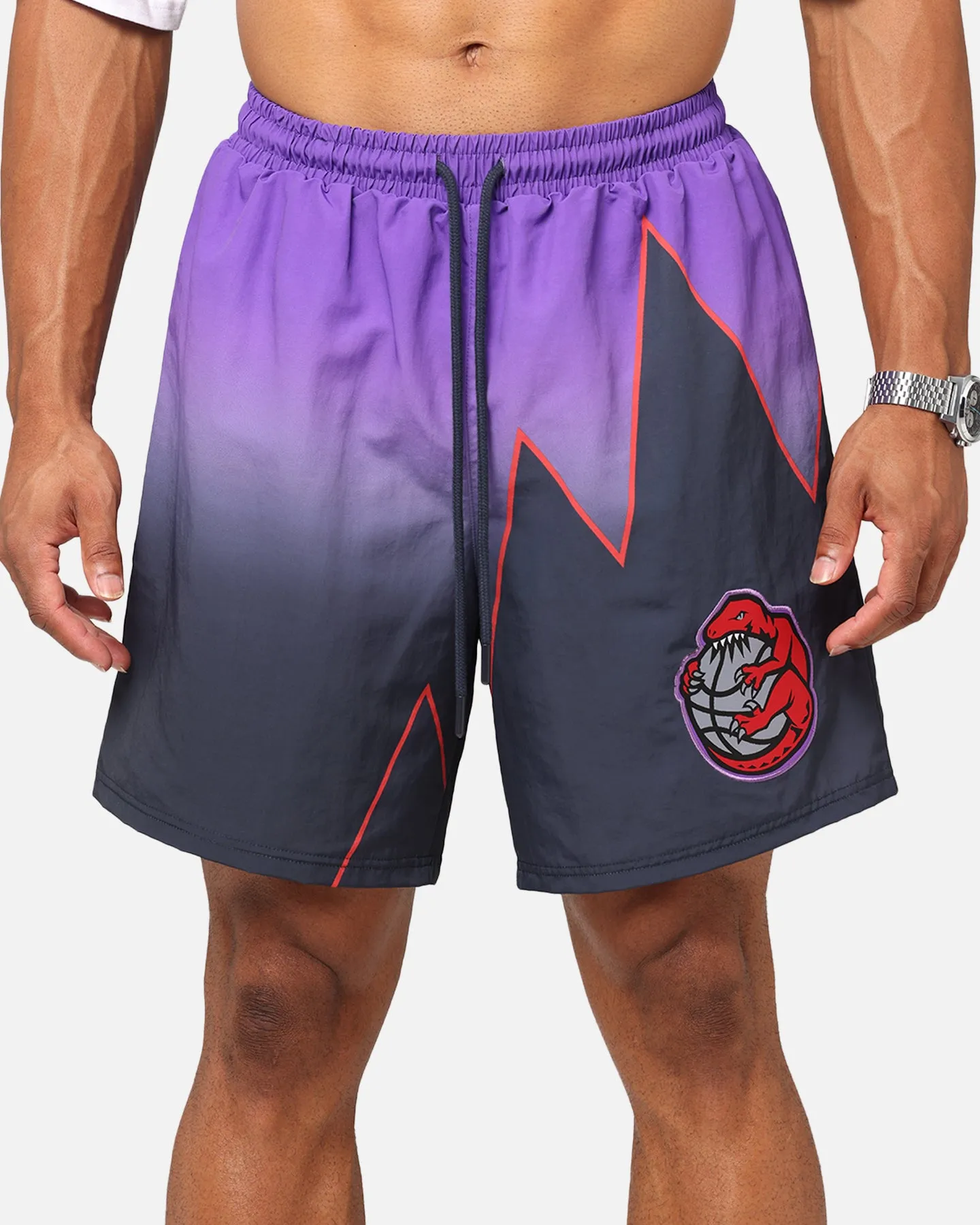 Mitchell & Ness Toronto Raptors Shorts 30 Ans Noir/Violet