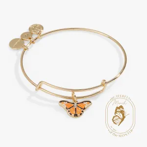 Bracelet Papillon Monarque   Charme Cristal
