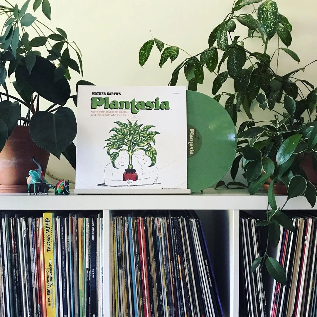 Mort Garson: Mother Earth's Plantasia (Green Colored Vinyl) Vinyl LP