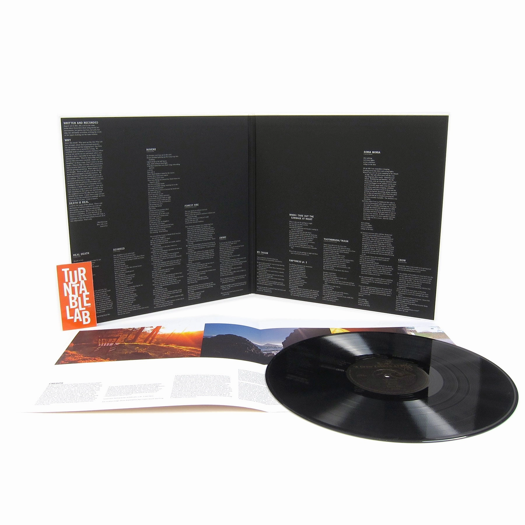 Mount Eerie: A Crow Looked At Me Vinyl LP
