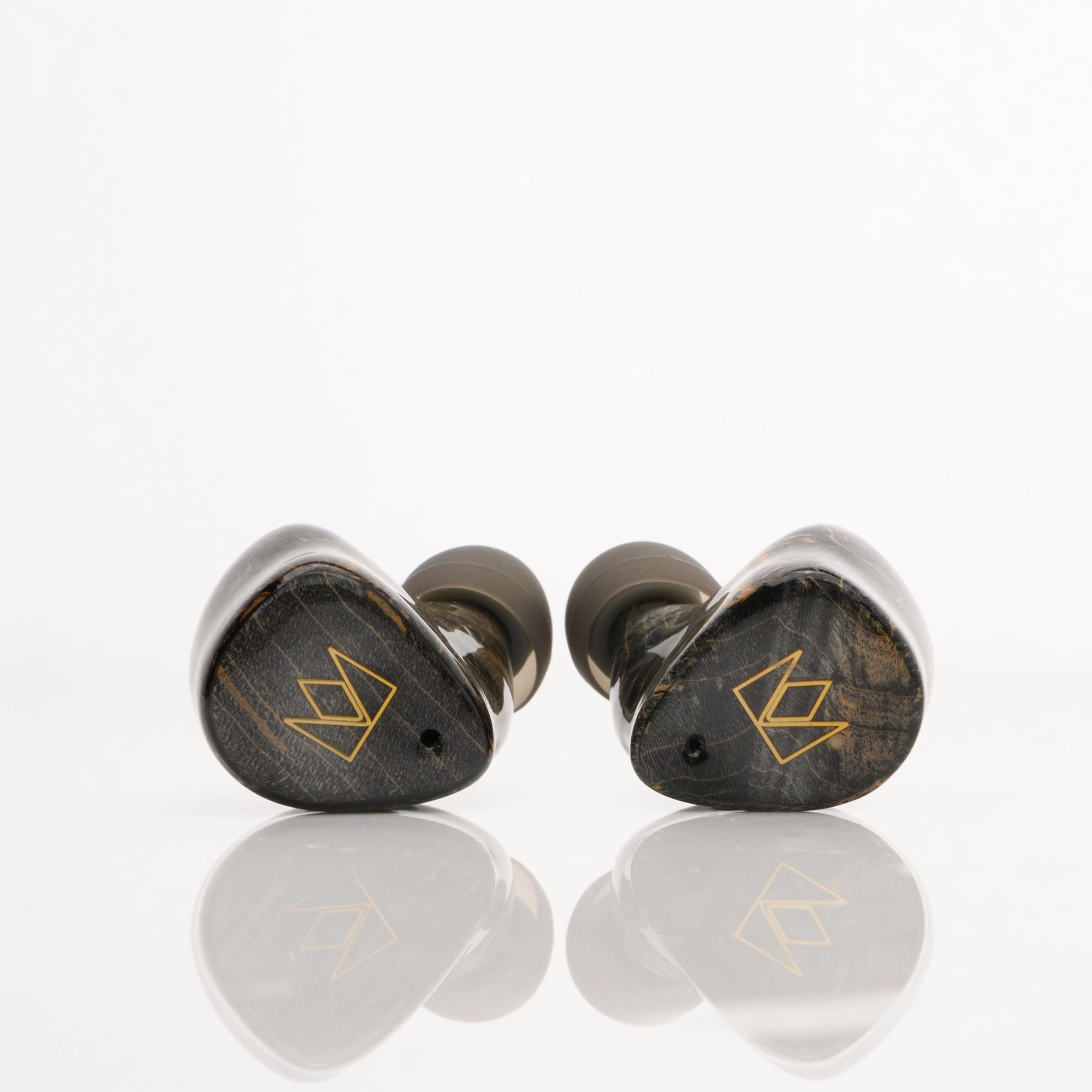 Noble Audio FoKus Prestige True Wireless In-Ear Earphones