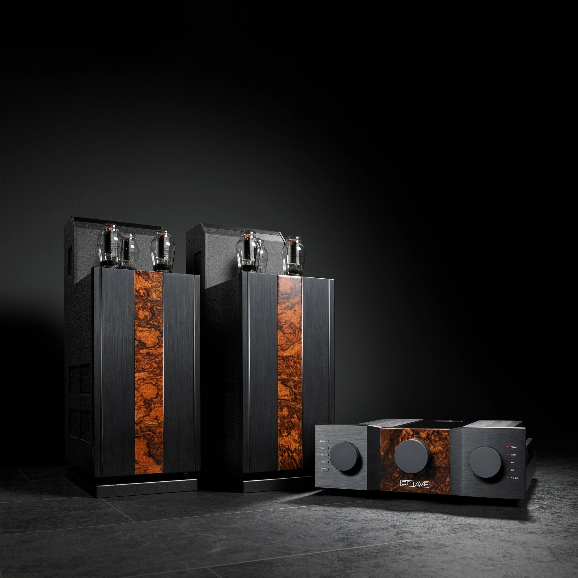 Octave Jubilee 300 B Power Amplifier Pair