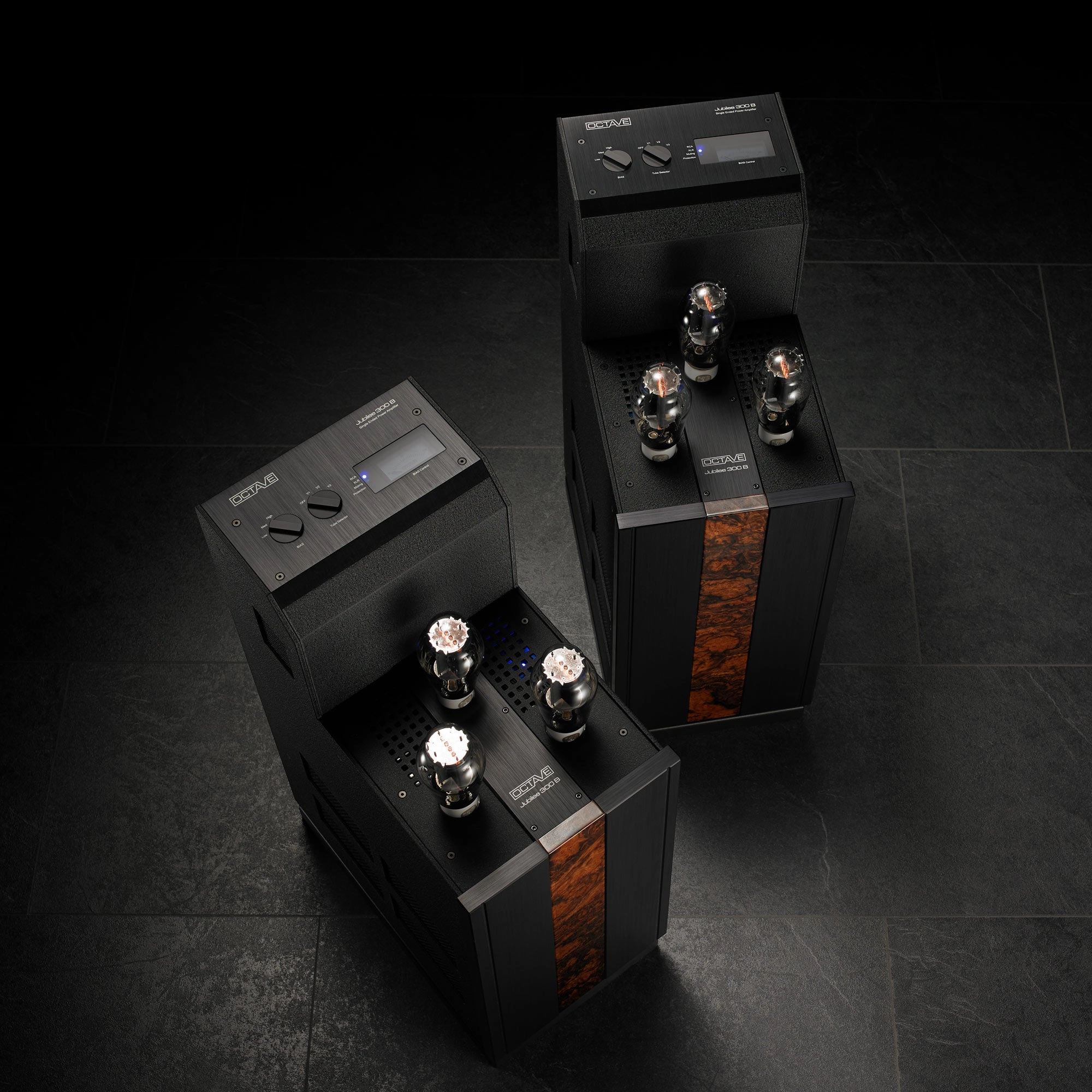 Octave Jubilee 300 B Power Amplifier Pair