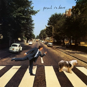 Paul Mccartney- Paul Is Live (Arrives in 4 days) hi-fi aptX HD bluetooth,hi-fi WiFi speakers,hi-fi stereo output