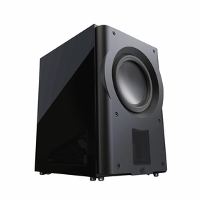 PERLISTEN Audio R210s Subwoofer
