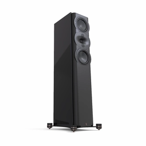 PERLISTEN Audio R5t Tower Speakers
