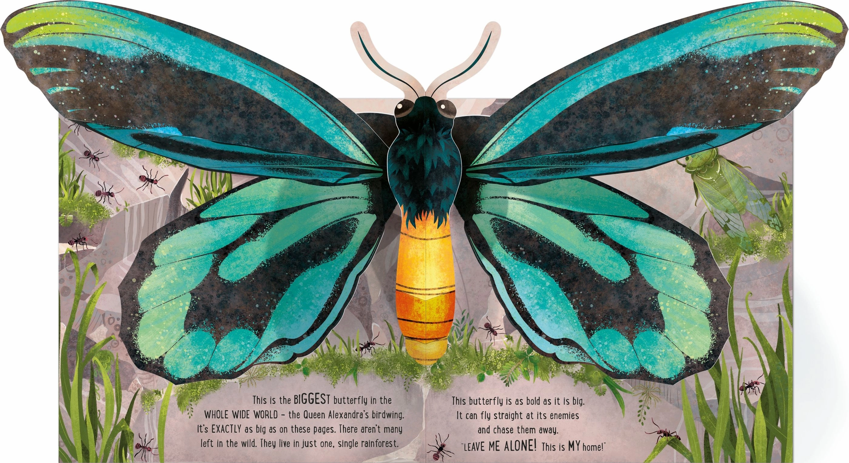 Papillons Pop-Up