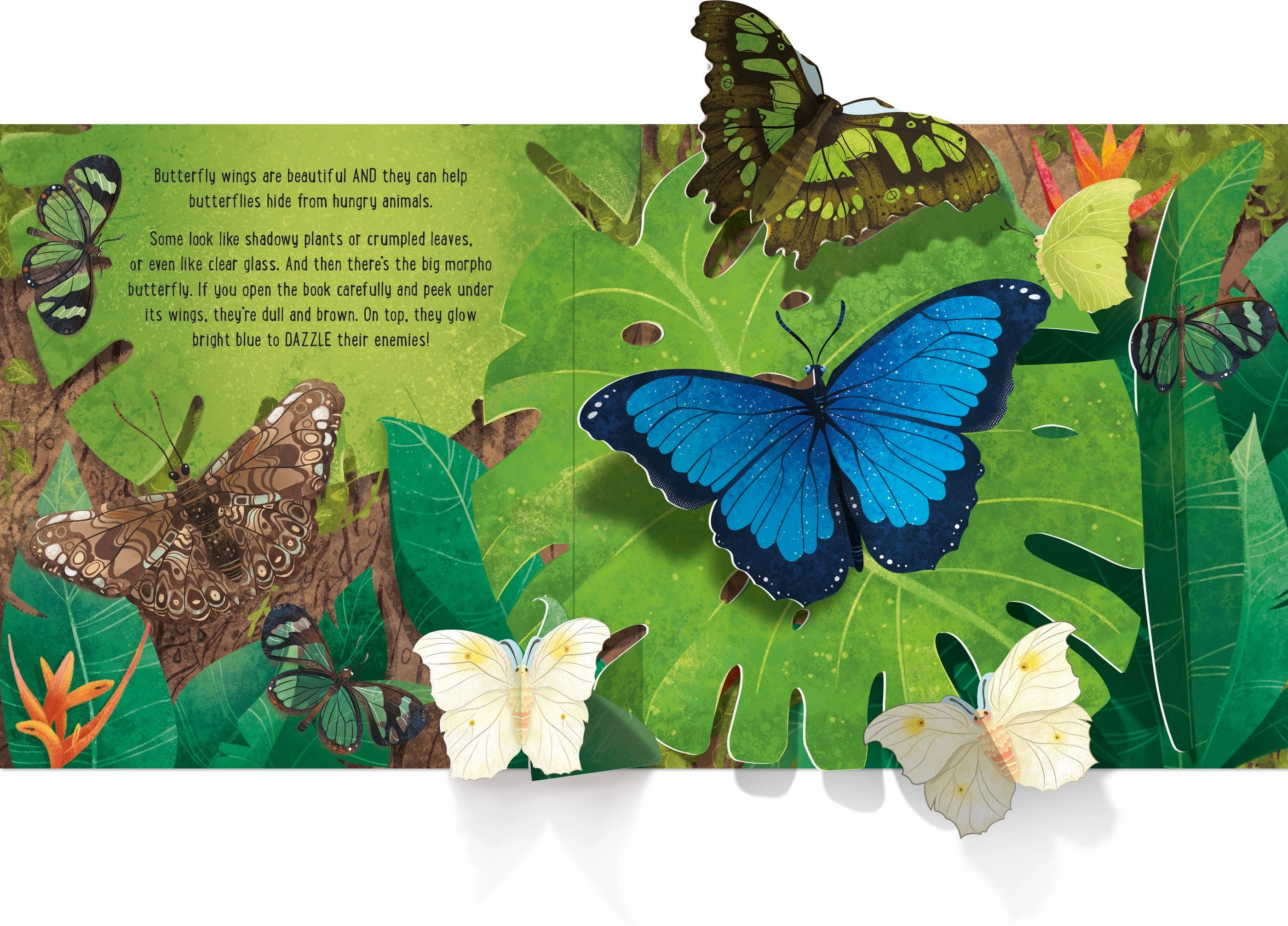 Papillons Pop-Up