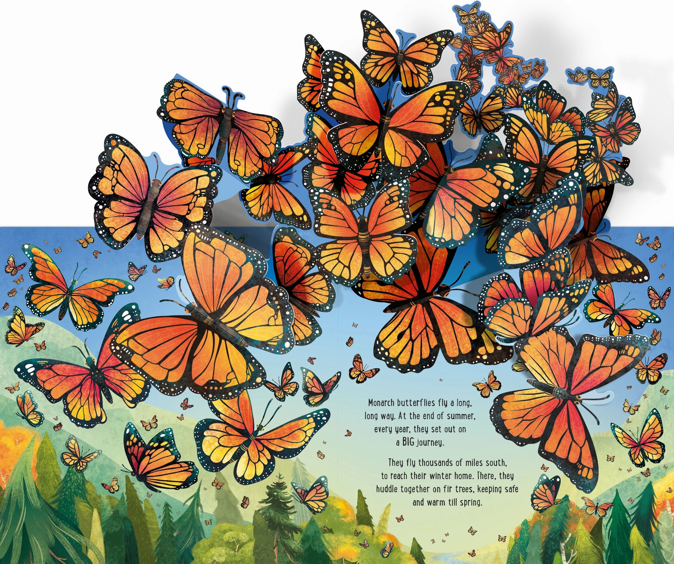 Papillons Pop-Up