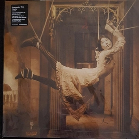 Porcupine Tree  Signify  (Arrives in 4 Days)