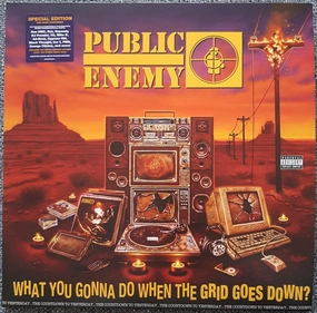 Public Enemy  What You Gonna Do When The Grid Goes Down?   (Arrives in 4 days )