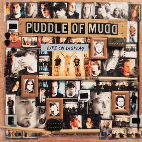 Puddle Of Mudd  Life On Display (Music On Vinyl) (Arrives in 21 Days) hi-fi linear power supply,hi-fi digital coaxial input,hi-fi speaker selector