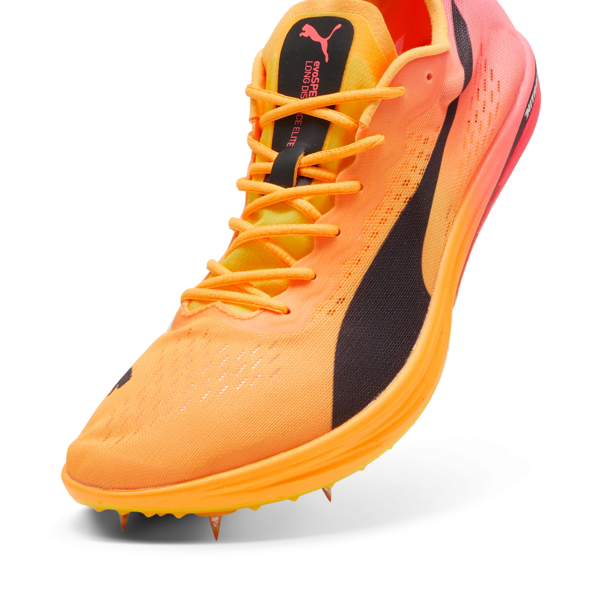 Puma Evospeed Long Distance Nitro Elite 2 Spike Walk Tall
