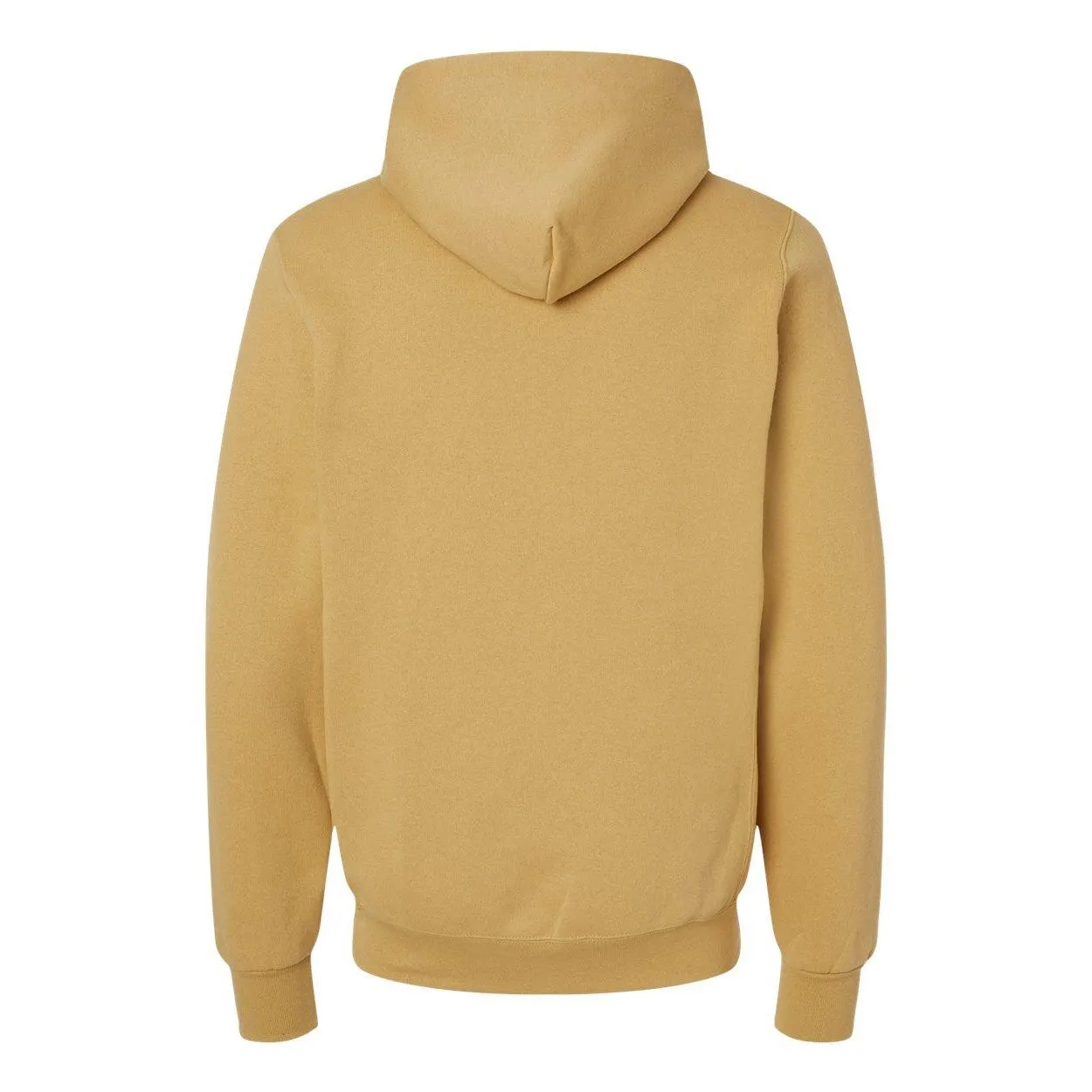 Russell Athletic Sweat à capuche Dri Power