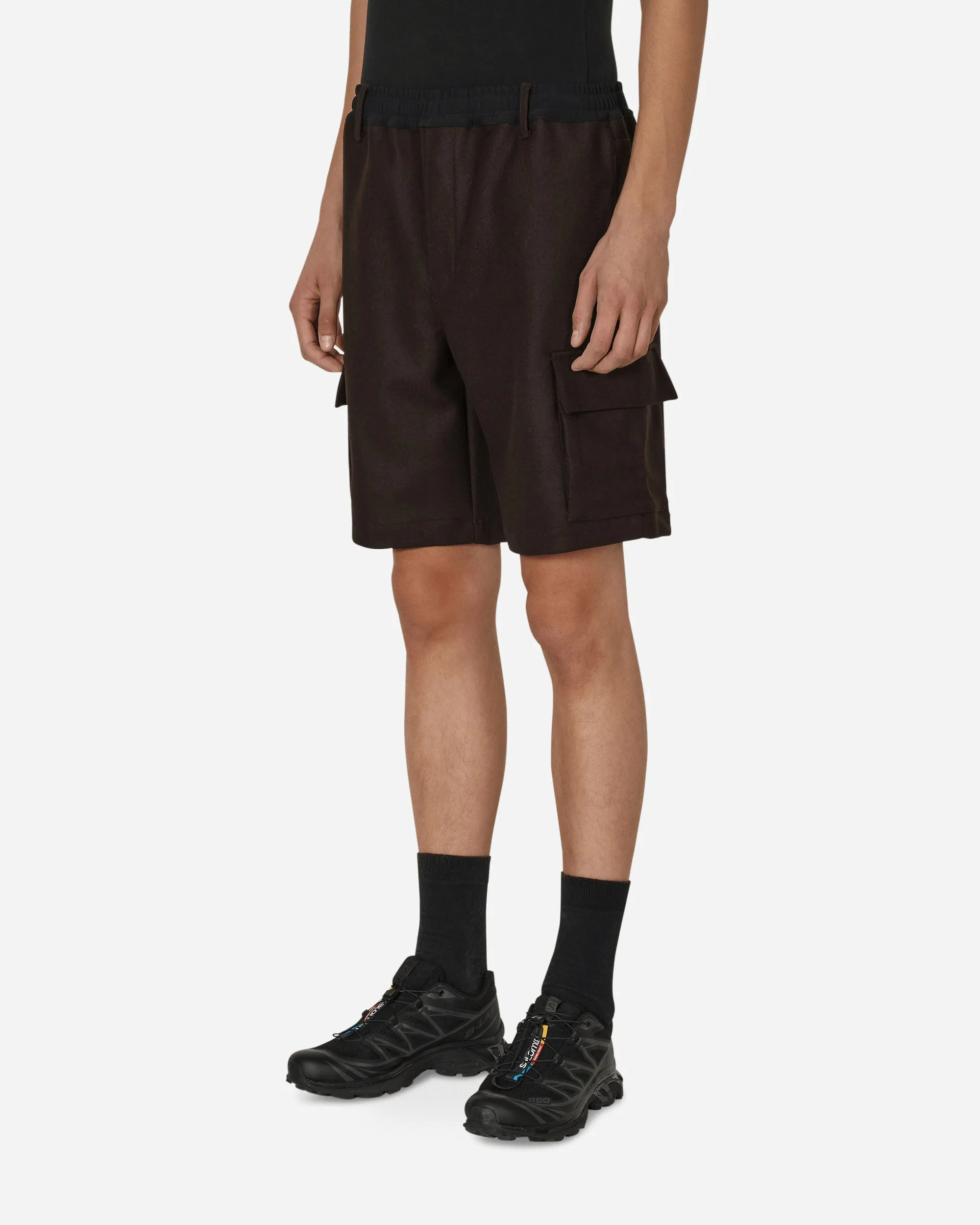Reflective - Decoration Salomon Panno Utility Shorts Brown