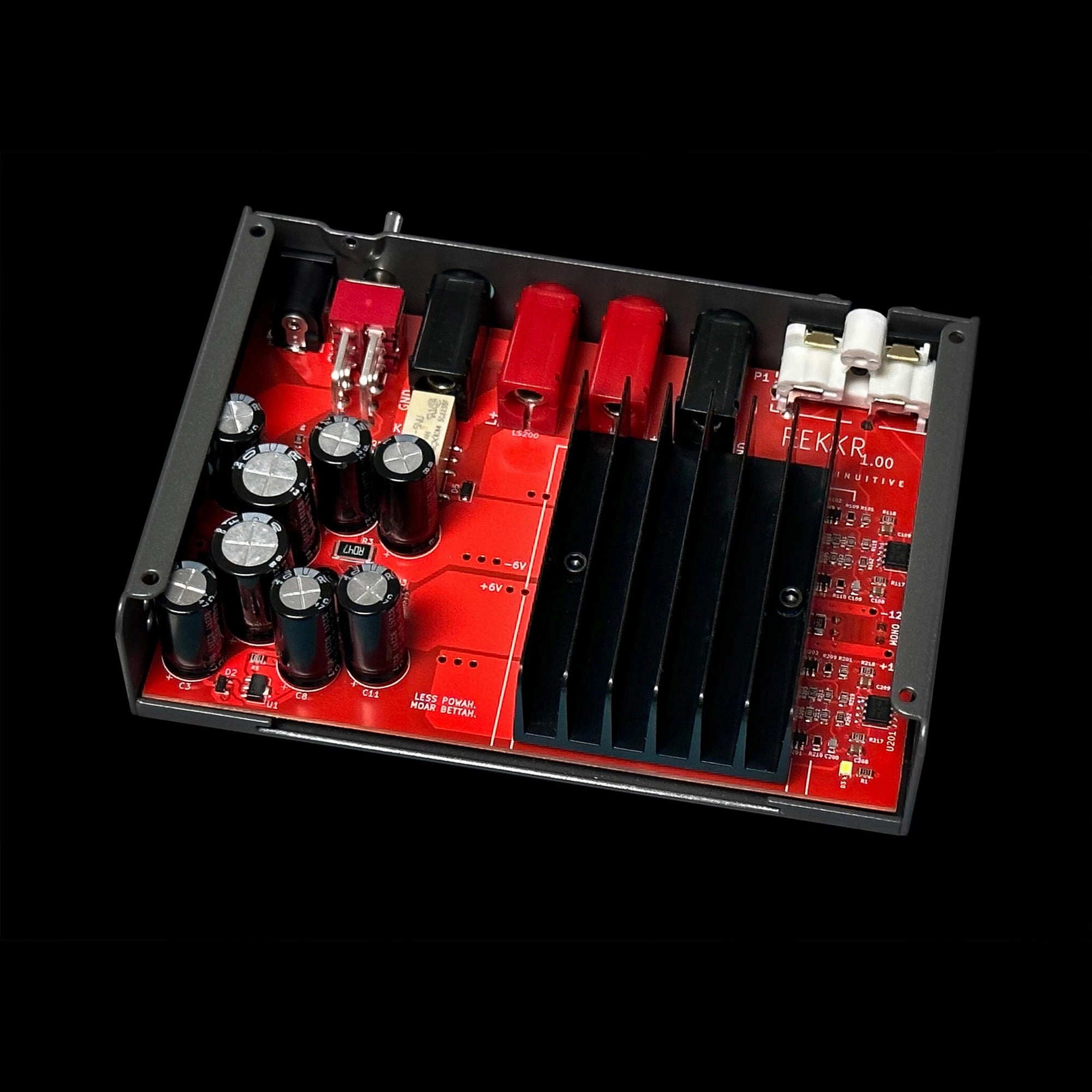Schiit Audio Rekkr Compact Power Amplifier