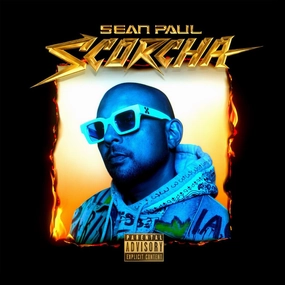 Sean Paul C Scorcha  (Arrives in 4 days ) hi-fi speaker damping kit,hi-fi panel absorber,hi-fi bass trap
