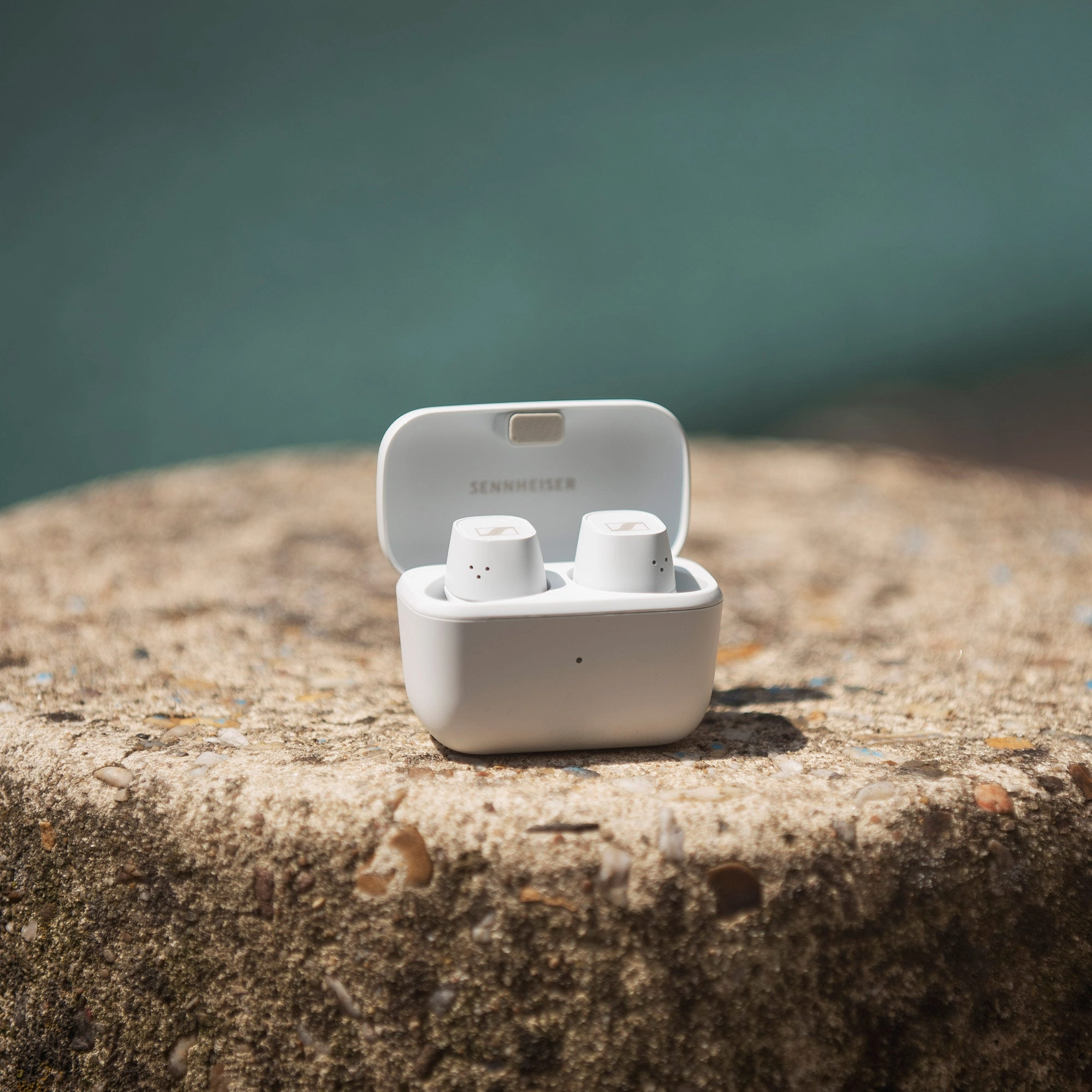 Sennheiser CX Plus True Wireless Earphones