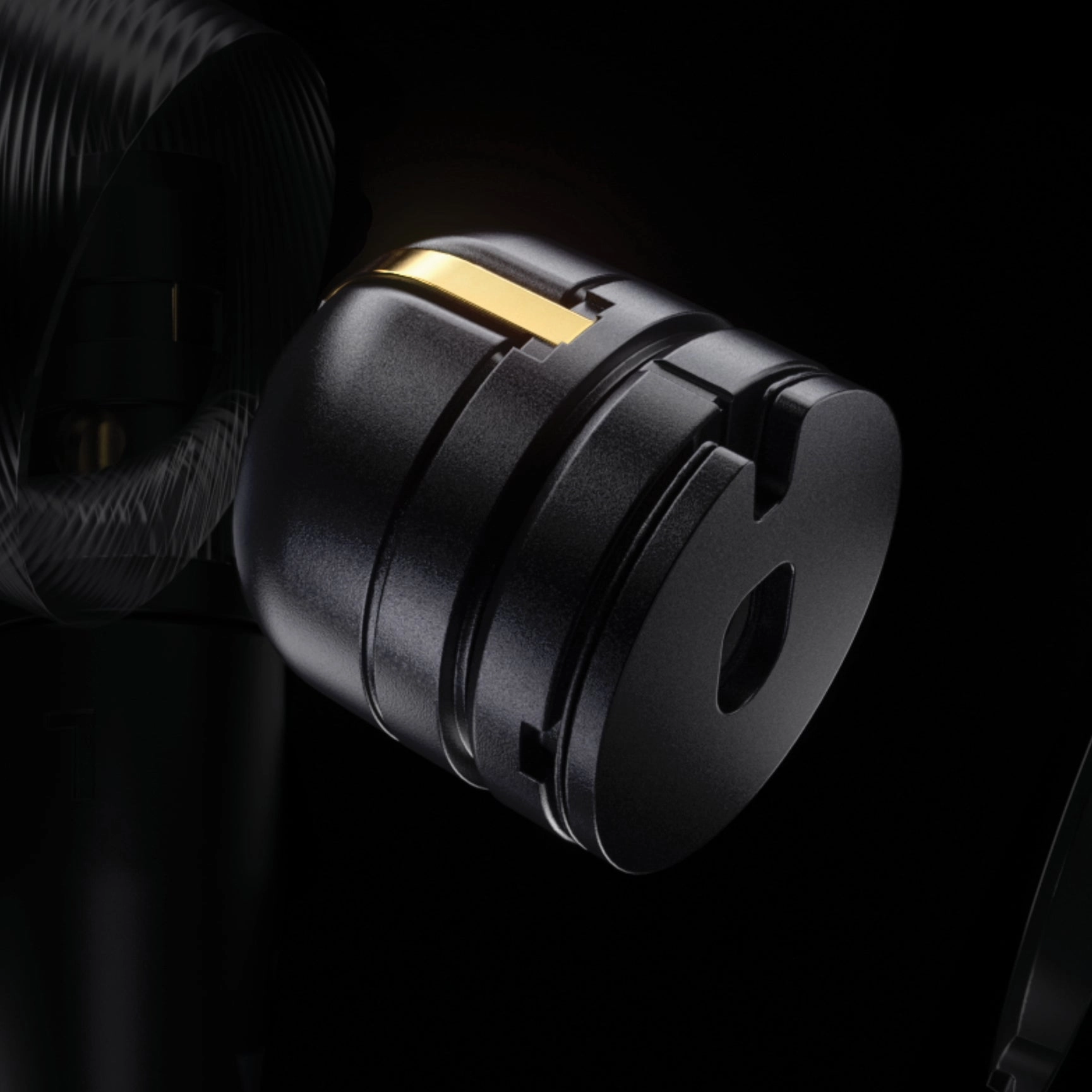 Sennheiser IE 900 In-Ear Headphones
