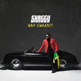 Shaggy- Wah Gwaan   (ARRIVES IN 4 DAYS ) hi-fi subwoofer cable,hi-fi driver unit,hi-fi frequency response
