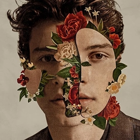 Shawn Mendes - Shawn Mendes (Arrives in 4 days ) hi-fi equalizer with spectrum,hi-fi music system with turntable,hi-fi dual speaker setup