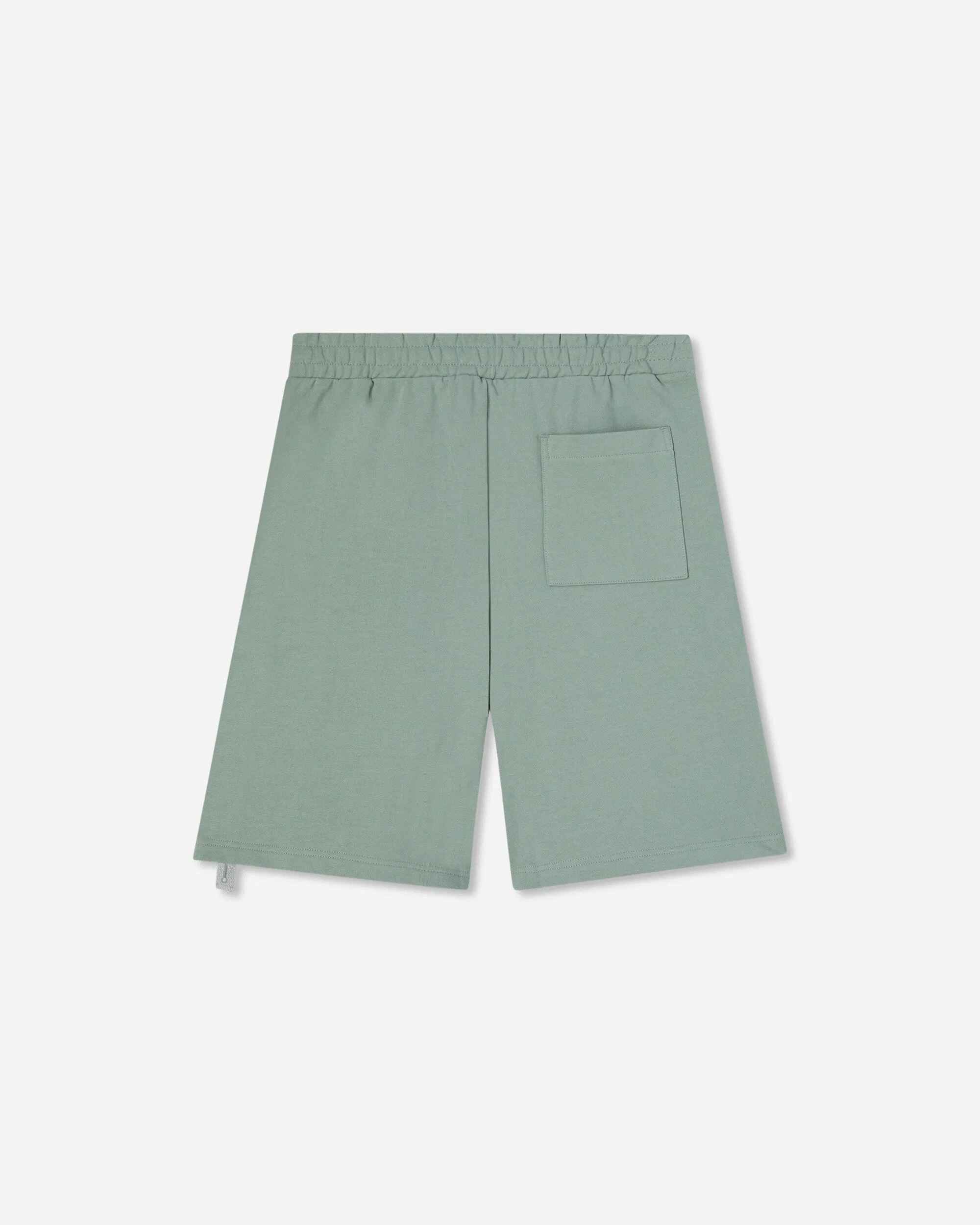 Pre-Shrunk Feature Soft Linen Men'S Loose Fit Sweatshorts Sage Green