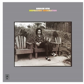 Shuggie Otis  Inspiration Information (Music On Vinyl) (Arrives in 21 Days) hi-fi linear power supply,hi-fi digital coaxial input,hi-fi speaker selector
