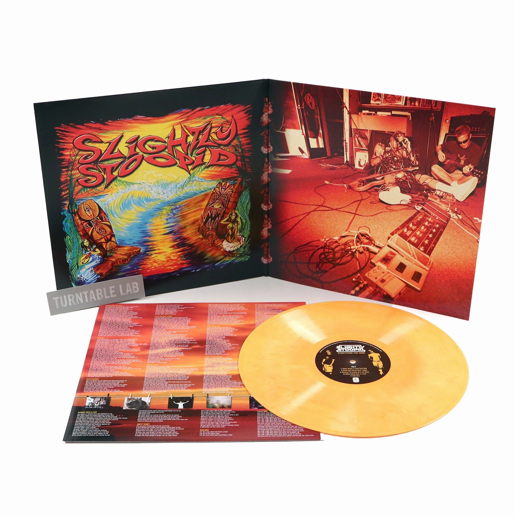 Slightly Stoopid: Everything You Need LP (Orange Galaxy Colored Vinyl) Vinyl LP