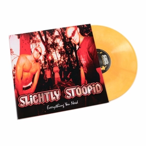 Slightly Stoopid: Everything You Need LP (Orange Galaxy Colored Vinyl) Vinyl LP hi-fi soundproof solution,hi-fi wall mount speakers,hi-fi ceiling speakers