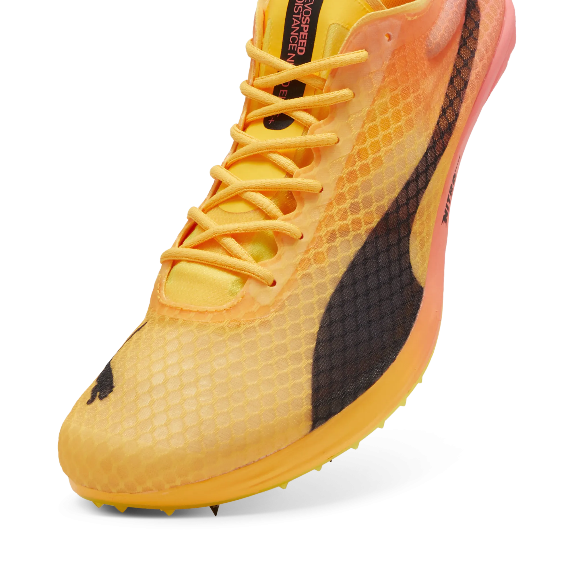 Budget Friendly Puma Evospeed Distance Elite  4 Spike