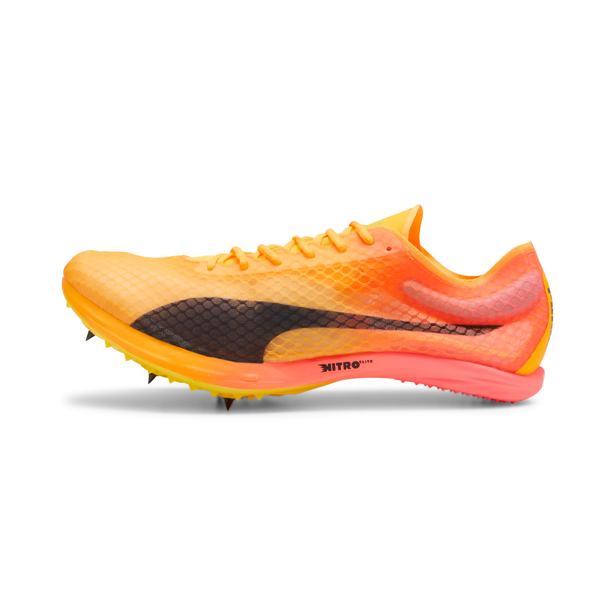 Puma Evospeed Distance Elite  4 Spike Walk Loud Born to Stand Out