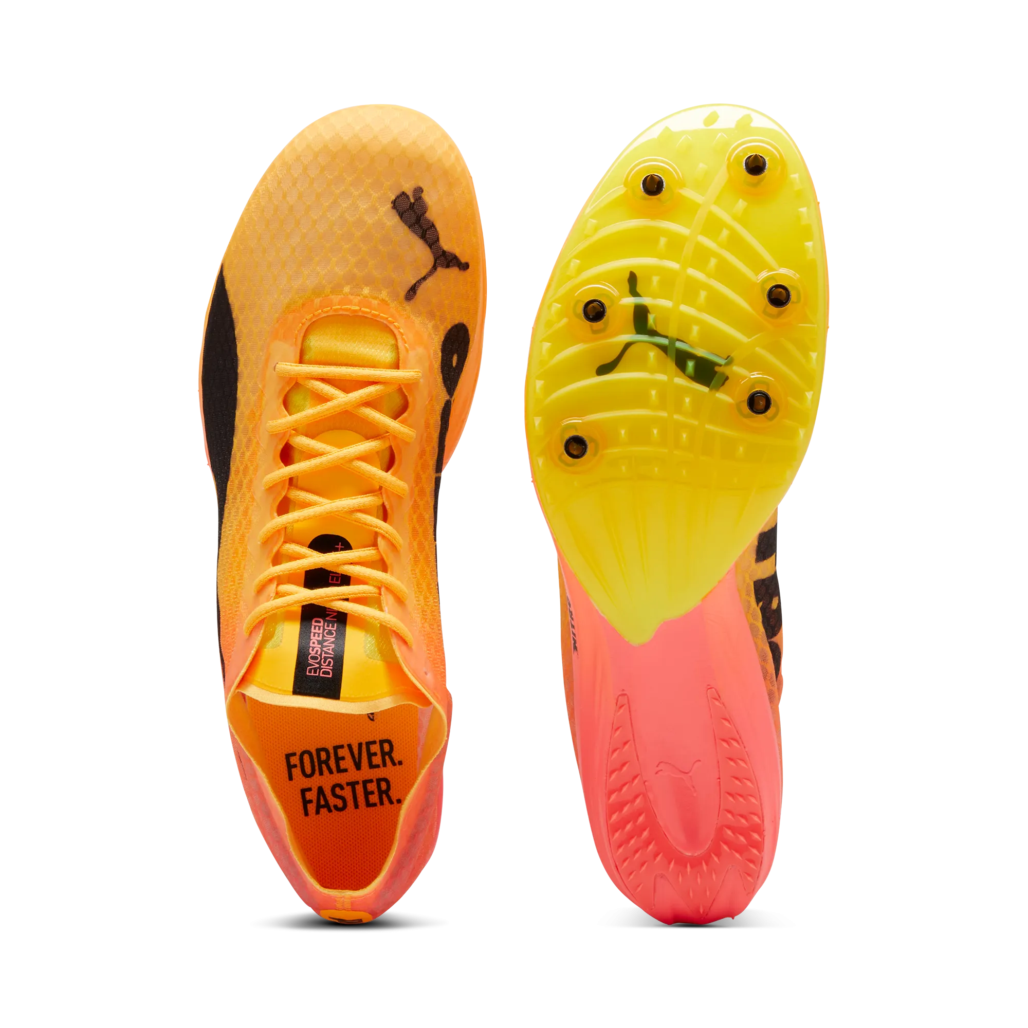 Define Your Own Way Winter Sale Puma Evospeed Distance Elite  4 Spike