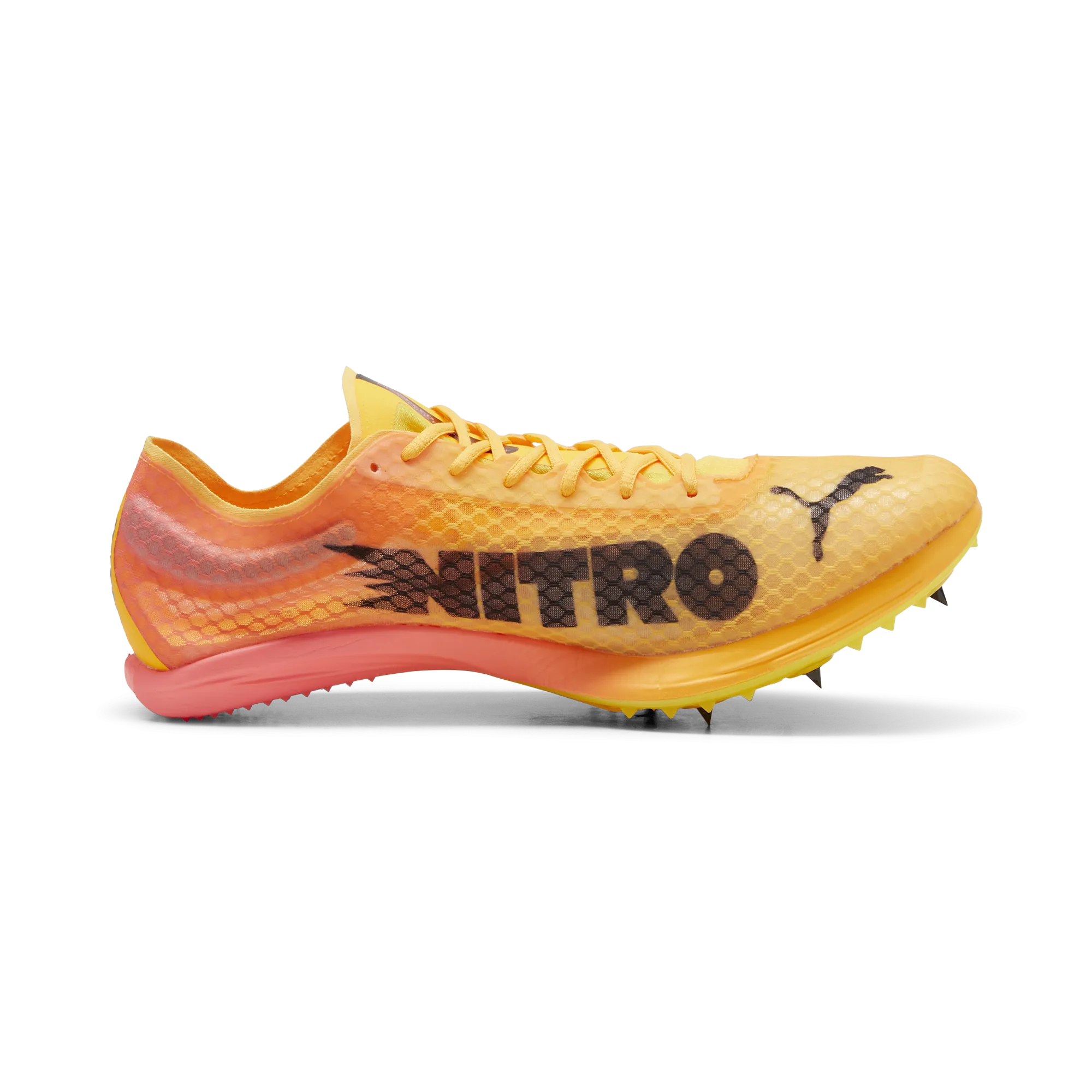 Stride with Confidence Puma Evospeed Distance Elite  4 Spike