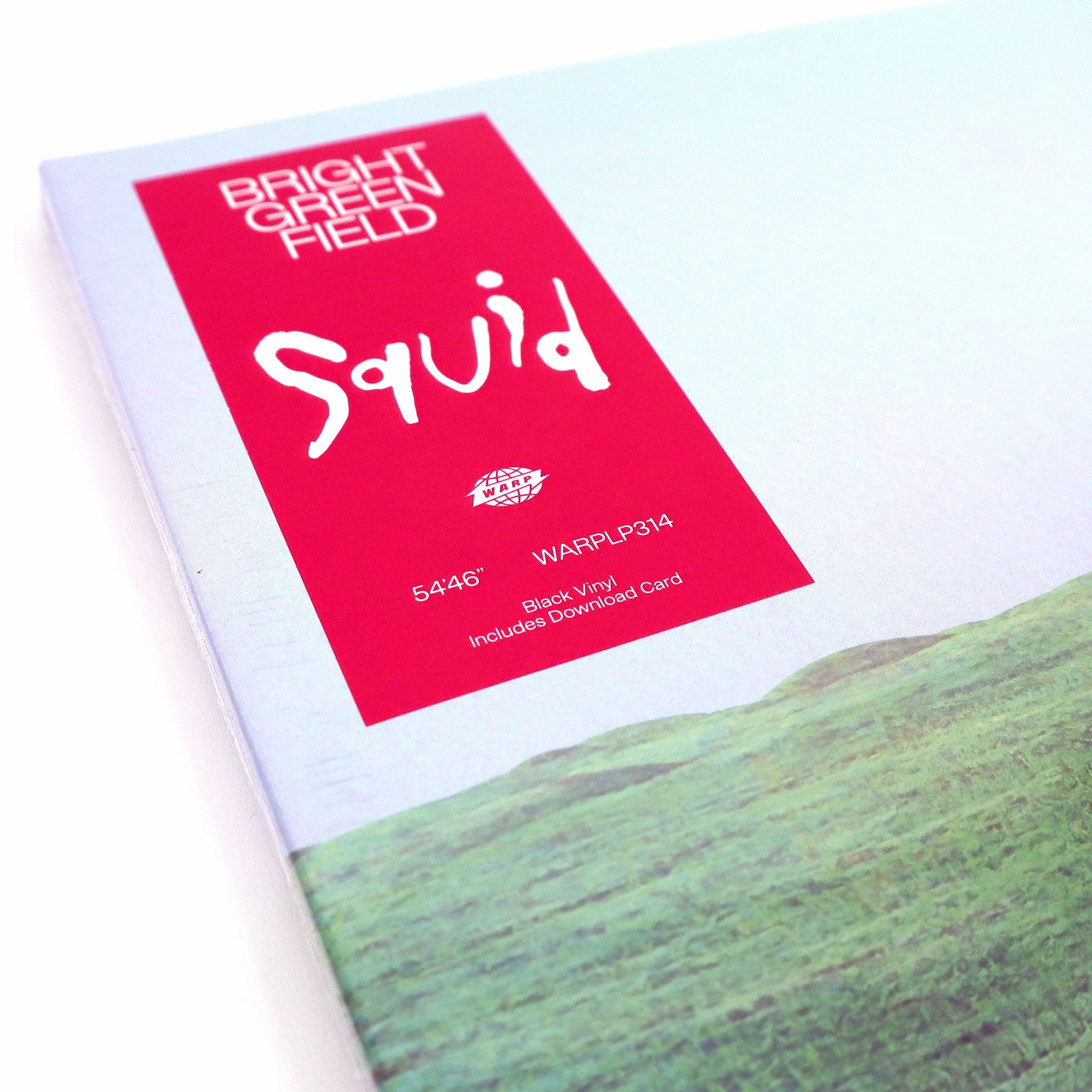 Squid: Bright Green Field Vinyl 2LP